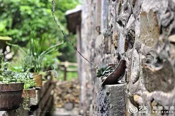 一份关于厦门的回忆,做了一场关于厦门的梦