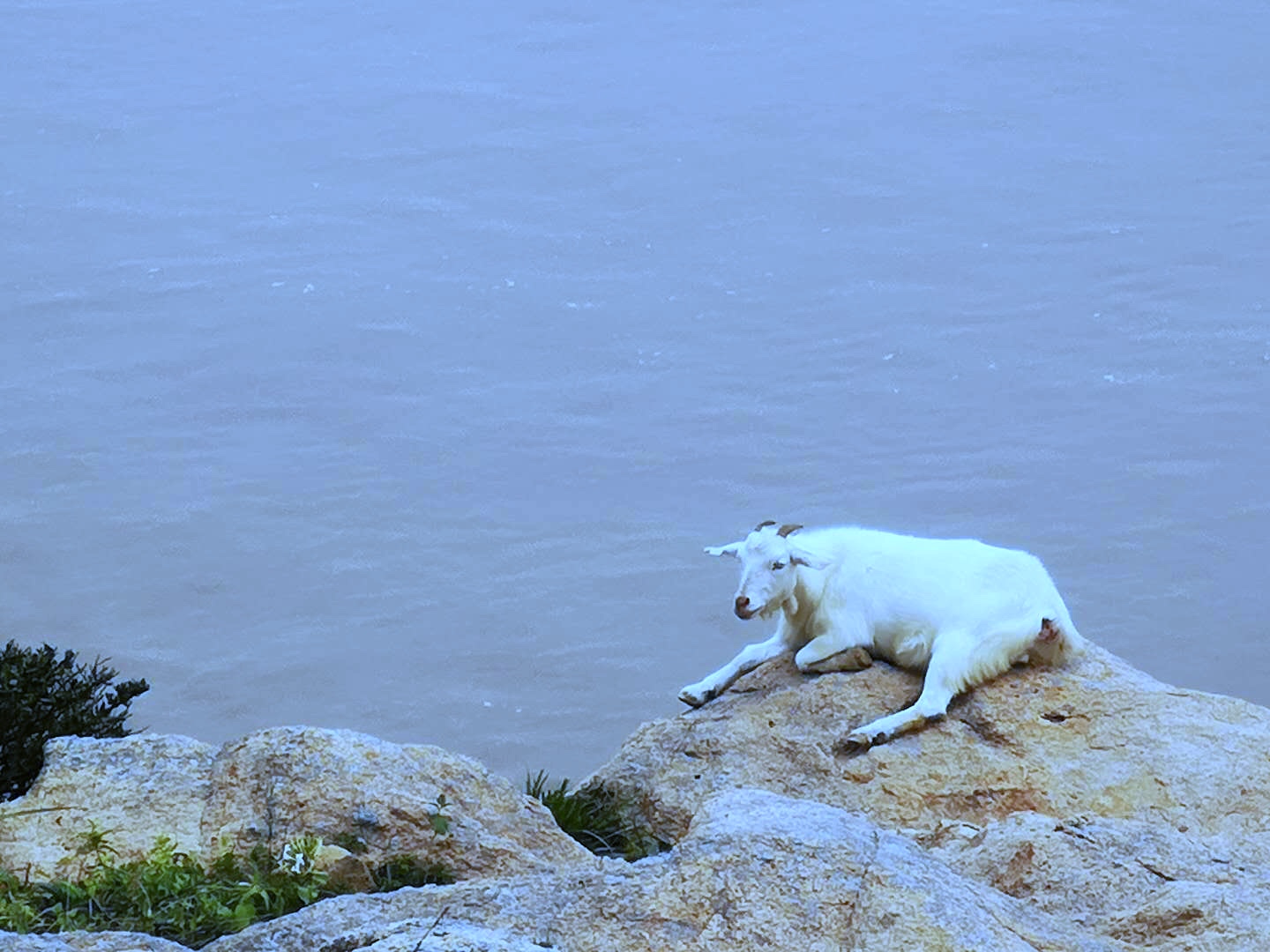 嵊泗列岛攻略游记,嵊泗列岛游览攻略