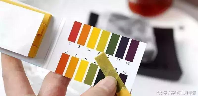 洗面奶到底哪款好用又实惠,哪款洗面奶好用又不贵