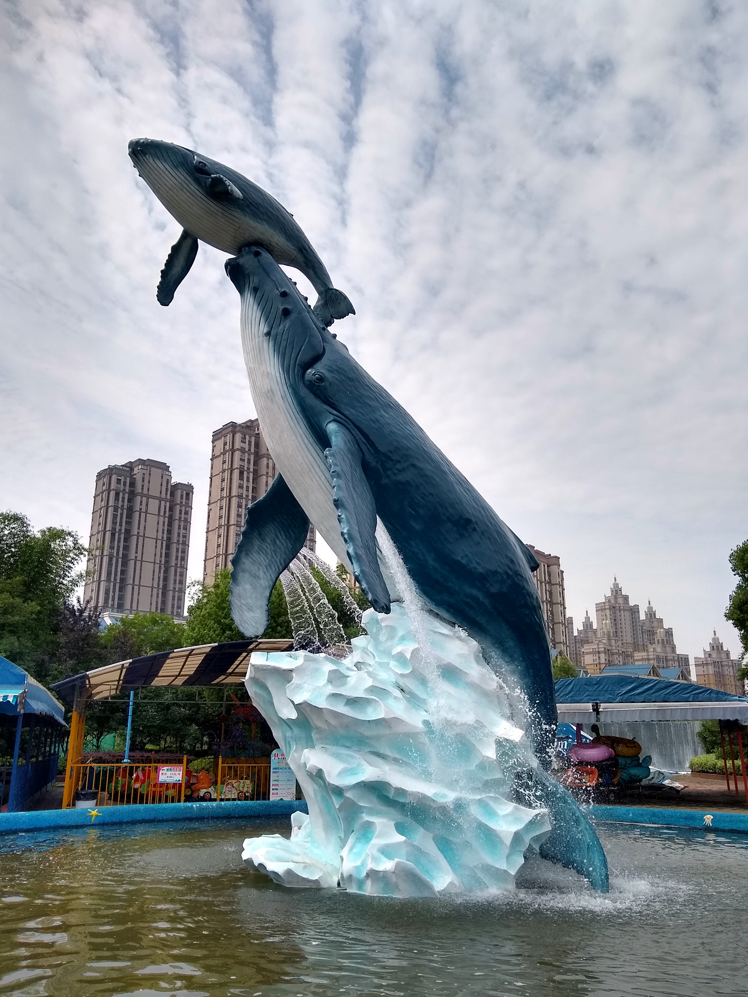 moto青柚1s手机换屏幕,千元机moto青柚