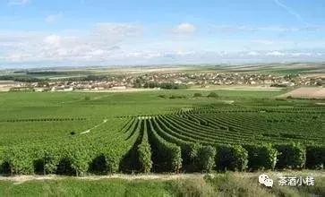 香槟起泡酒高颜值意大利,带你深度剖析葡萄酒的世界