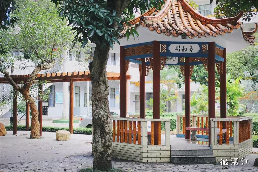 再见了四年级,再见了四年级的时光