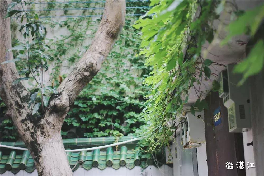 再见了四年级,再见了四年级的时光