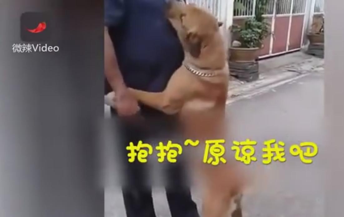 男子科二考试打电话给教练,男子学车碰到教练