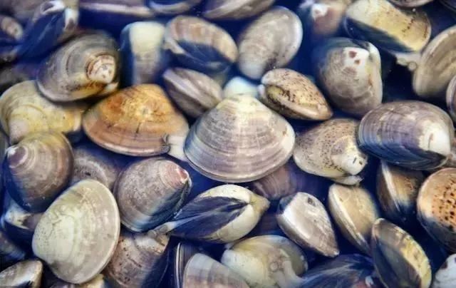 海鲜美食分享吃货日常,美食分享吃海鲜视频