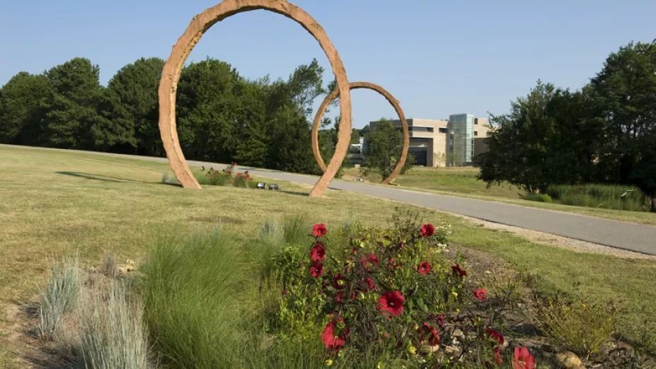 这个春夏之际开启属于您的北卡罗来纳奇妙艺术之旅