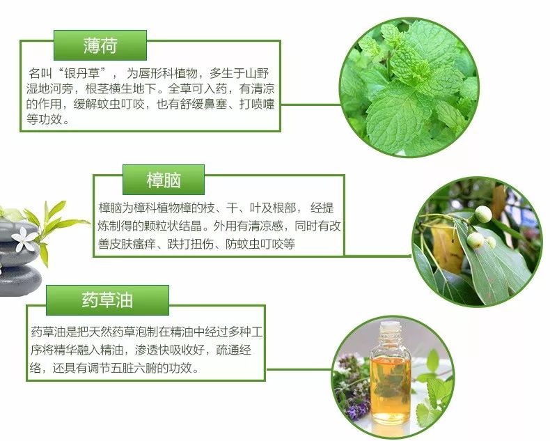 泰国驱蚊提神的好处,泰国青草膏驱蚊止痒