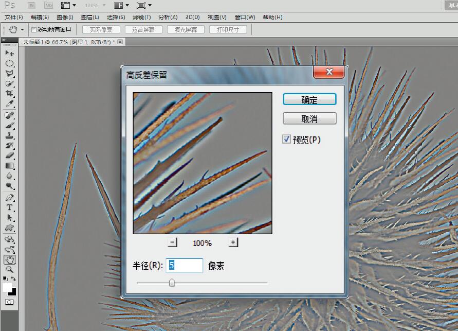 微距摄影后期合成,微距照片景深合成