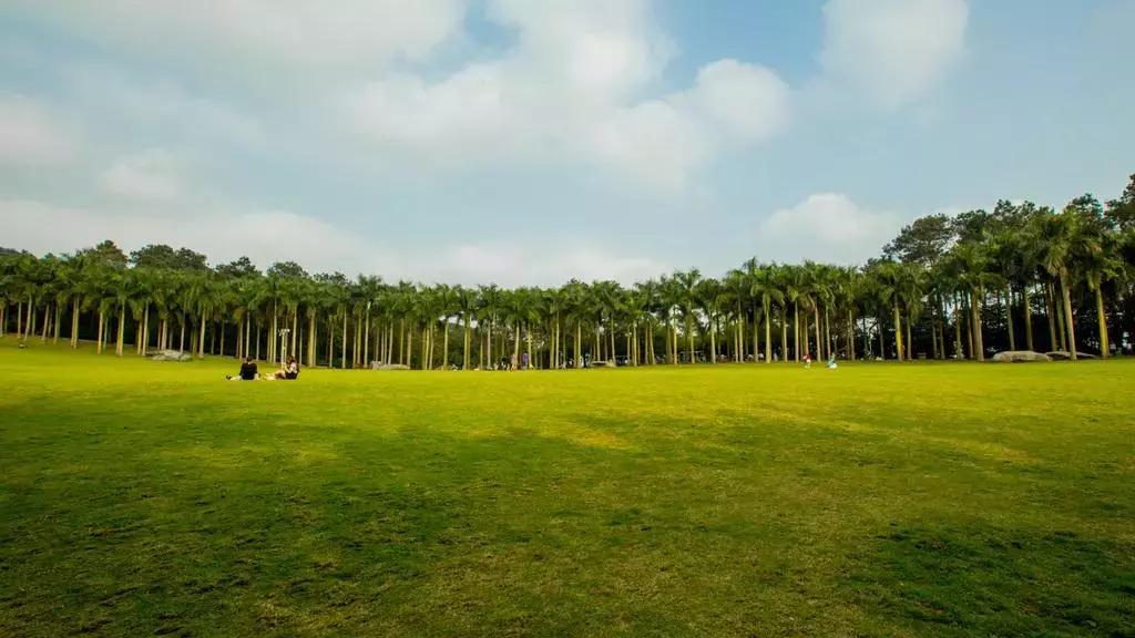 6月份去云南特价机票,昆明出发旅游特价机票