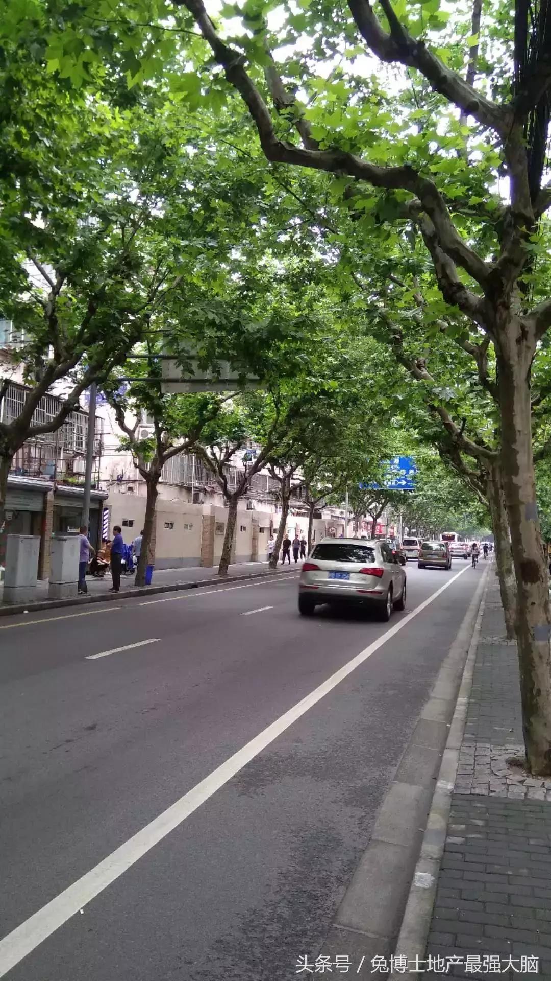 为什么上海明珠小学这么厉害,明珠小学上海校区