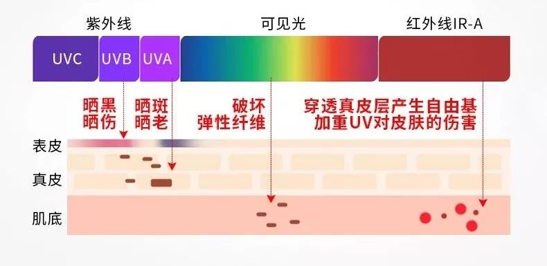 各位,CP不要乱组,容易崩!