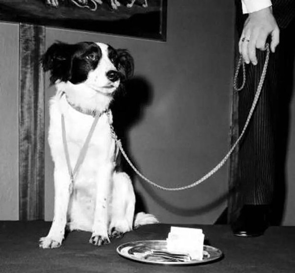 足球“胜利女神”，躲得过希特勒、躲不过神偷，遭偷2次人间消失