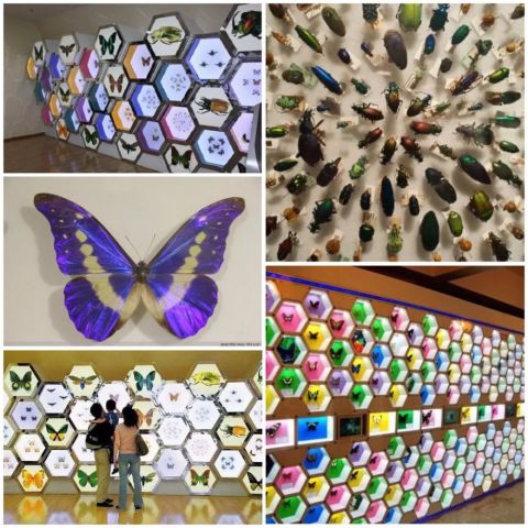 周末遛娃必去指南,六一溜娃攻略