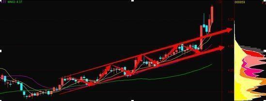 中国股市真正赚钱铁律,股市赚钱十大铁律