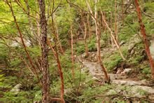 邢台黑山大峡谷攻略,黑山大峡谷到驼梁多远