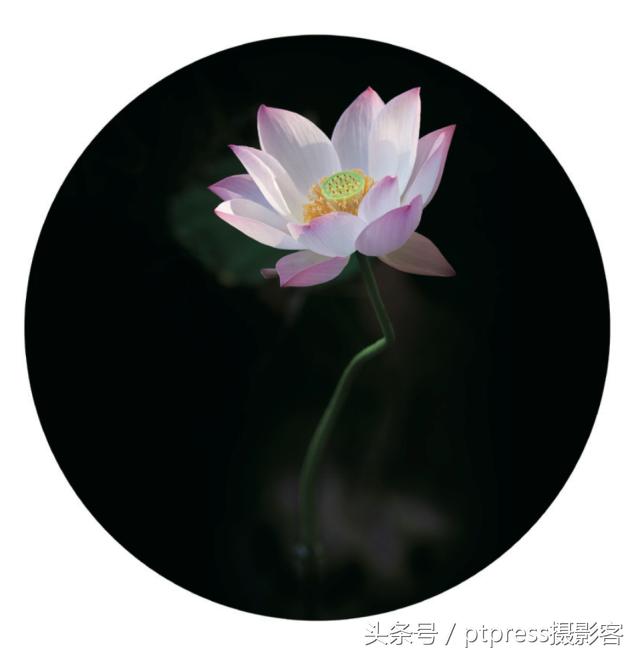 前期拍摄画草图技巧有哪些,线描画人物摄影技巧构图