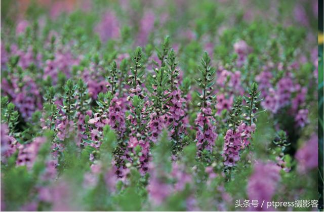 前期拍摄画草图技巧有哪些,线描画人物摄影技巧构图