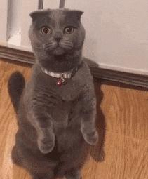 长期久坐会导致身体僵硬吗,久坐脖子僵硬如何缓解