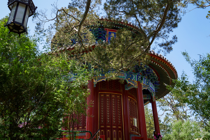 松下g94k连续拍摄,松下g9超慢摄影