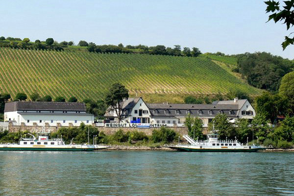 4种低调的德国葡萄酒,德国qba等级的葡萄酒