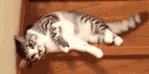 好用的懒人睡眠免洗面膜,懒癌必备超好用睡眠面膜盘点