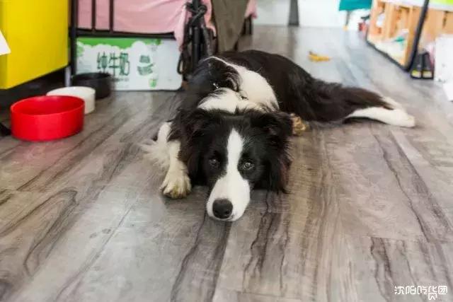 ins风美食小店 (ins风小店美食)