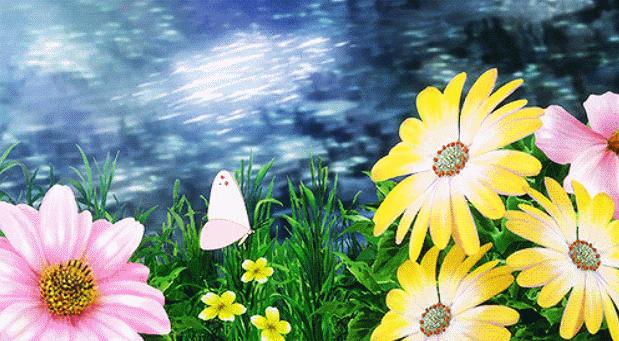 闆ㄥ悗鍒濇櫞鏄ュ厜鏄庡獨,闆ㄥ悗鍒濇櫞鏄ユ剰鐩庣劧