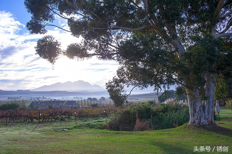 让人无法淡定的非洲SPA，黑人妹子让你体会什么是妙不可言！