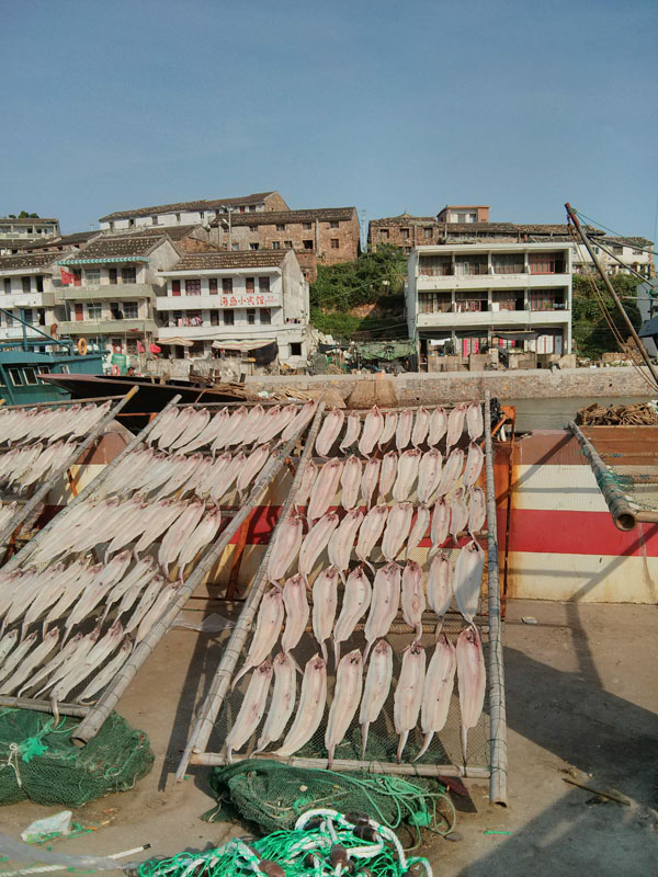 海钓，勇敢者的征服之旅