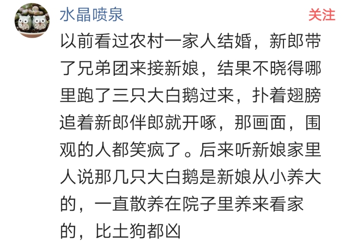 被骂小畜生怎么回怼,被家里人骂畜生