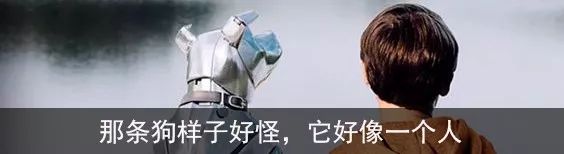 黑童话丨欢迎你带着小马参加切割派对