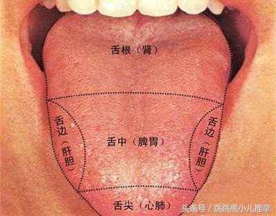 怎么看宝宝舌头是否积食,宝宝积食的舌头是怎样的
