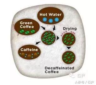 最会卖咖啡的日本人，这次盯上低因咖啡了？！