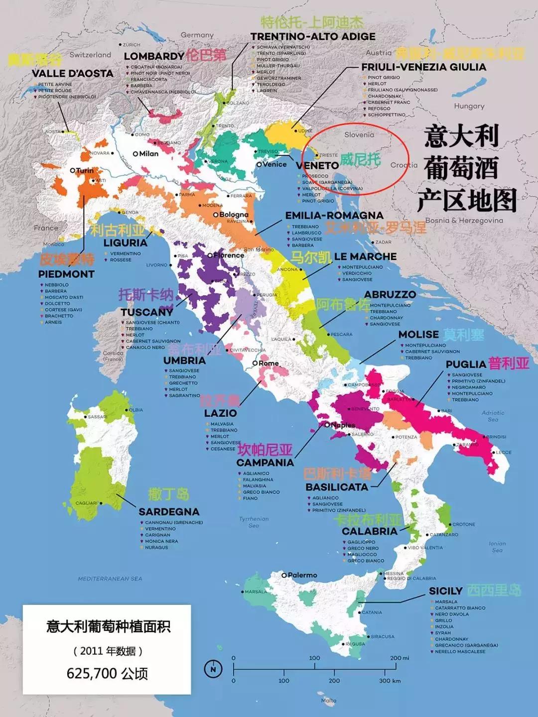 意大利阿玛罗尼五大顶级酒庄,意大利阿玛罗尼干红葡萄酒价格