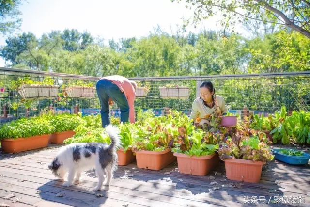 集装箱简易房和铁皮房哪个便宜,集装箱改造房屋靠谱吗