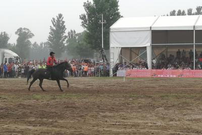 中华民族大赛马2020比赛日程,中华民族耐力赛马节