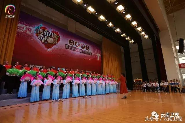 云南卫视/益安宁丸杯第二届云南省合唱大赛，三七之乡、缤纷开唱