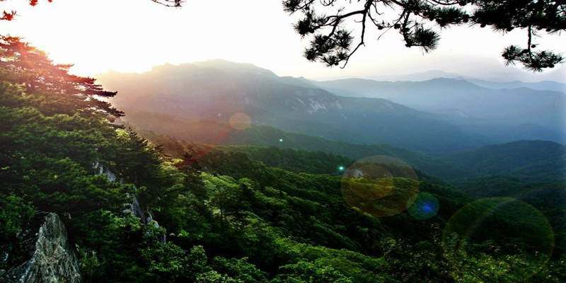 南阳市哪个景区门票便宜,南阳各个景点门票价格