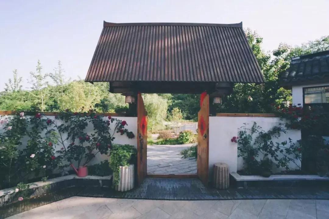 南京不老村，这个画得了插画、种得了花的萌大叔，亲自打造一个家