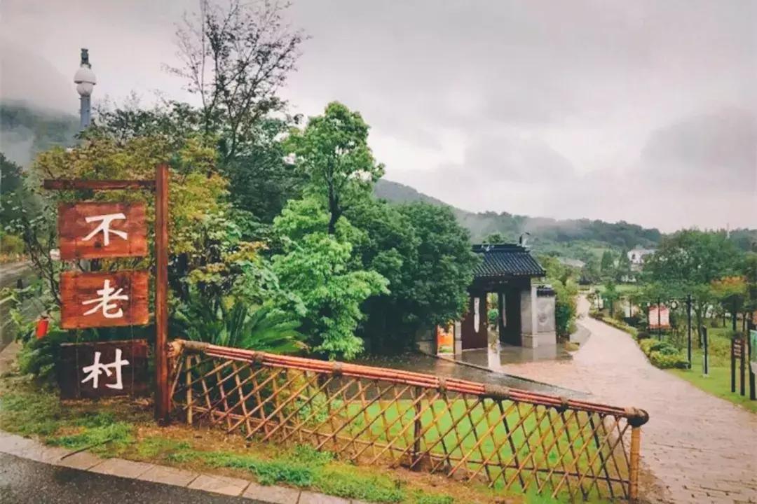 南京20分钟车程外的不老村，咖啡屋、书吧、酒吧，周末度假好去处