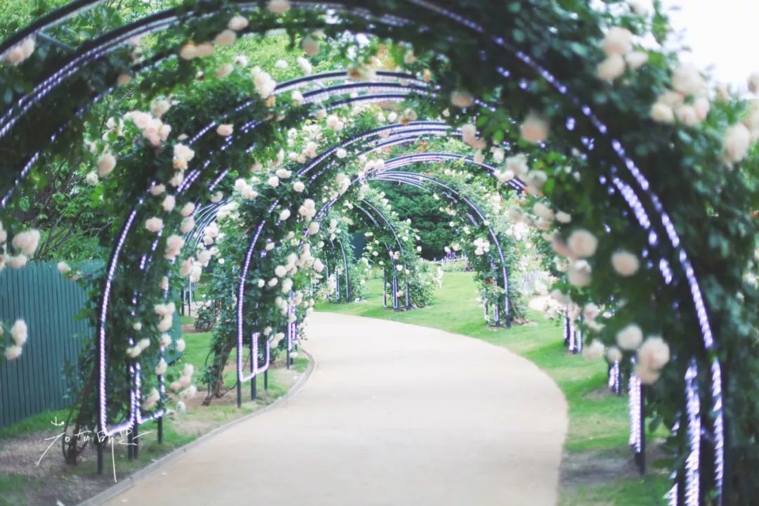 五天四晚适合去哪玩,适合五天四夜清静的旅行