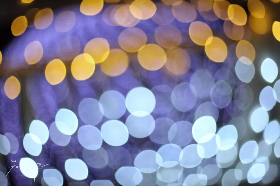 日本的这个地方，很少有中国游客，超级文艺治愈系！