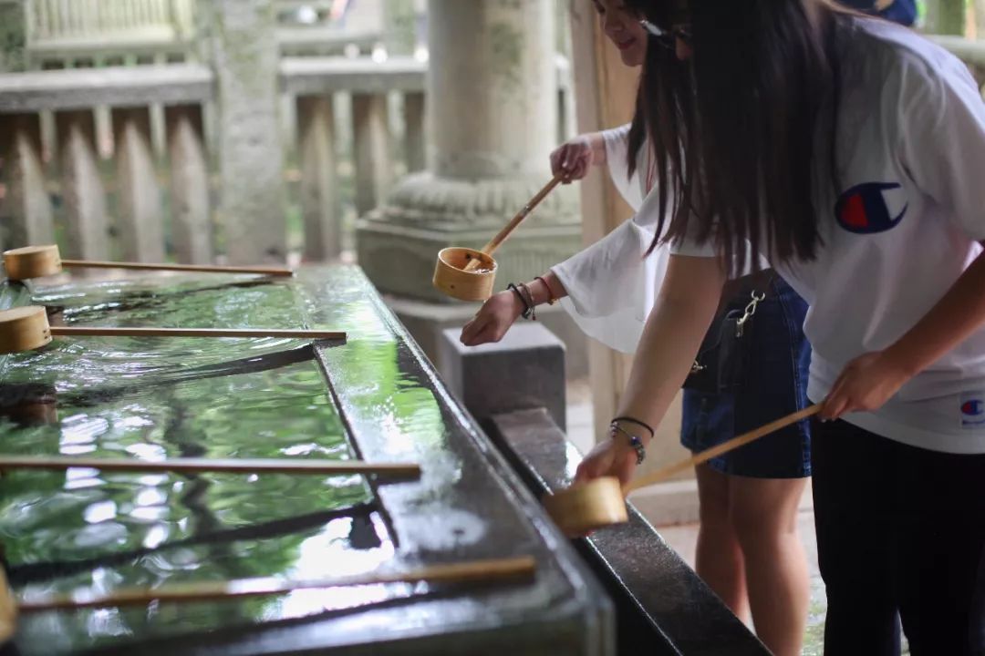 日本的这个地方，很少有中国游客，超级文艺治愈系！