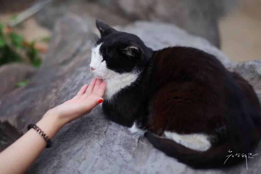 五天四晚适合去哪玩,适合五天四夜清静的旅行