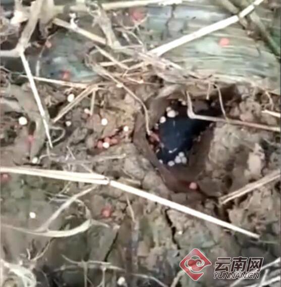 云南陨石坠落拍卖,云南省的石陨石坠落