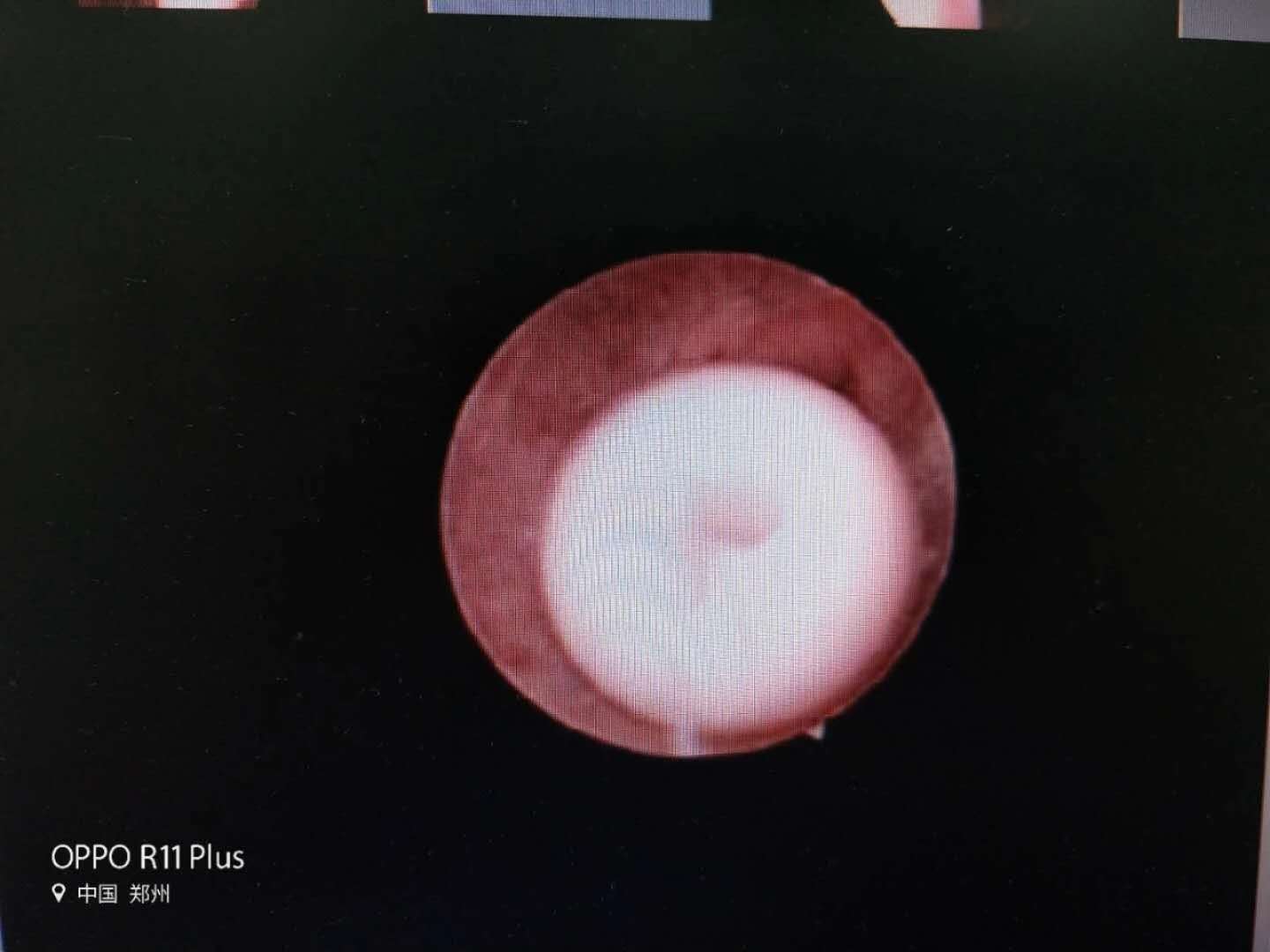 女孩好奇心重,女童好奇贪玩