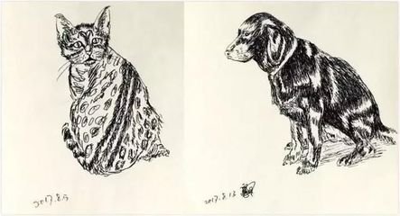 潘粤明减肥之路,潘粤明减肥记