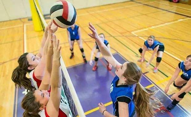 女子排球比赛运动短裤,排球运动员穿的紧身衣