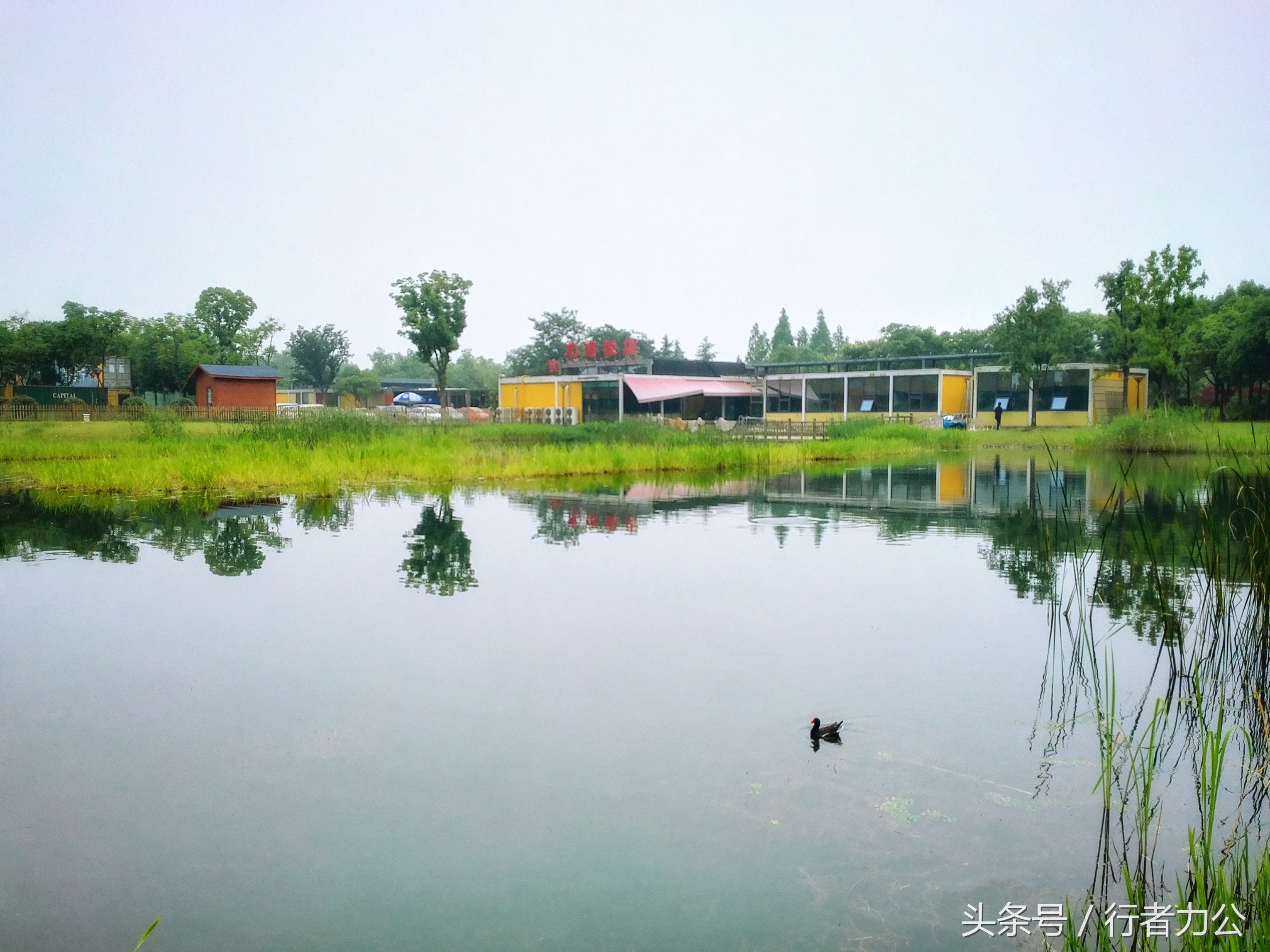 尚贤河湿地公园攻略,尚贤河湿地景点