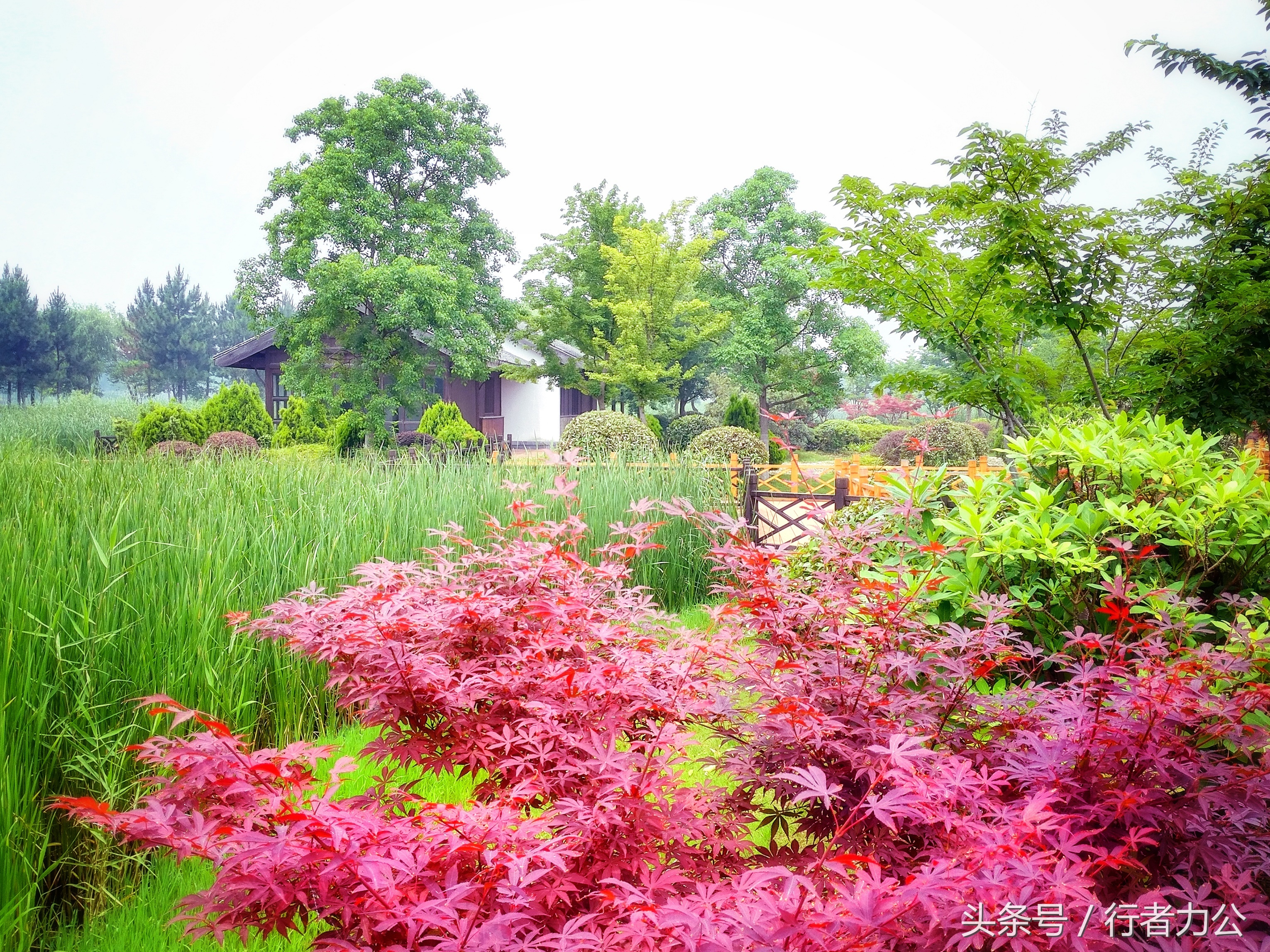尚贤河湿地公园攻略,尚贤河湿地景点